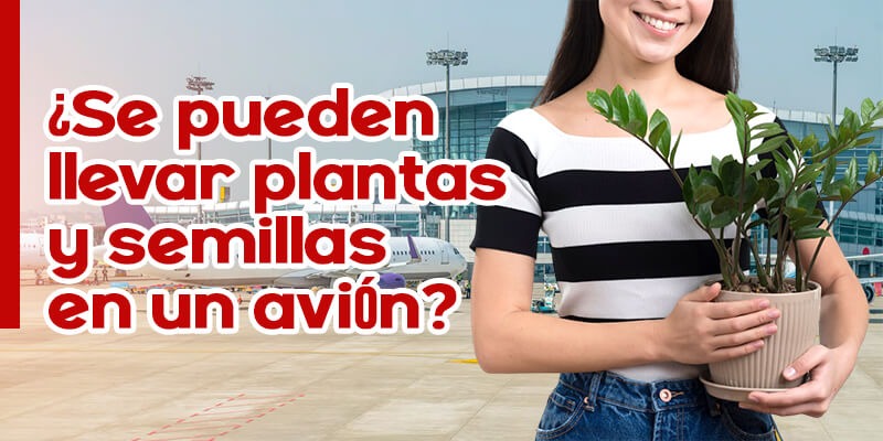 plantas y semillas en un avión